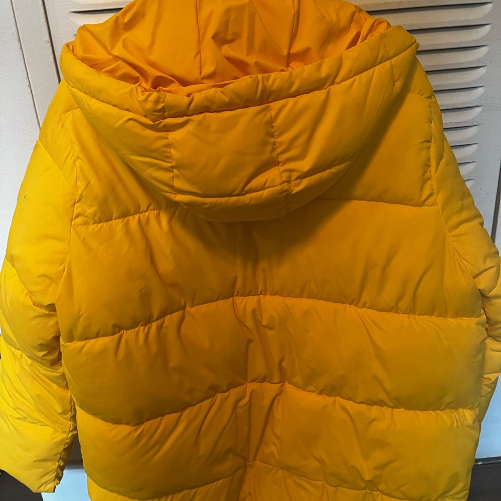GAP  Yellow ColdControl Max Coat